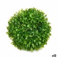 Miniatyrbild 1 av 2: Dekorativ växt Ibergarden 552 Plast Labda 17 x 13,5 x 17 cm (12 antal)