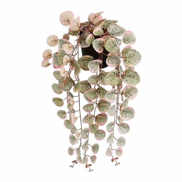 Koristekasvi Mica Decorations Ceropegia Woodii 10 x 46 x 12 cm Keinotekoinen Ripustettavaksi