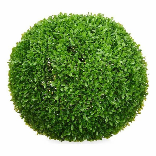 Dekorativ växt Ibergarden 549 Plast Blad Labda 37 x 37 x 37 cm (4 antal)
