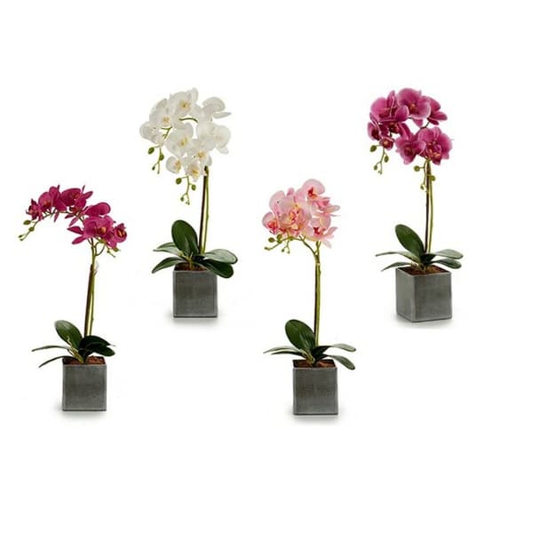 Dekorativ blomst Ibergarden A18124-50-2 Orkidé 14 x 51 x 18 cm (6 enheter)