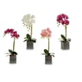 Miniatyrbilde 2 av 2: Dekorativ blomst Ibergarden A18124-50-2 Orkidé 14 x 51 x 18 cm (6 enheter)
