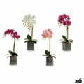 Miniatyrbilde 1 av 2: Dekorativ blomst Ibergarden A18124-50-2 Orkidé 14 x 51 x 18 cm (6 enheter)