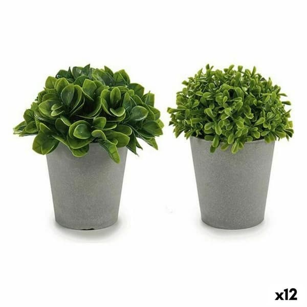 Dekorativ växt Plast 13 x 17 x 13 cm (12 antal)