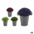 Miniatyrbilde 1 av 2: Dekorativ Plante Ibergarden A18124-91 Plast 14 x 15 x 14 cm (12 enheter)