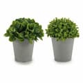 Miniatyrbilde 2 av 2: Dekorativ Plante Ibergarden A18124-128-1 Plast 13 x 17 x 13 cm (12 enheter)
