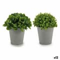 Miniatyrbilde 1 av 2: Dekorativ Plante Ibergarden A18124-128-1 Plast 13 x 17 x 13 cm (12 enheter)