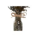 Miniatyrbilde 3 av 5: Dekorativ Plante Home ESPRIT Krystall Blomster 11 x 11 x 40 cm (3 enheter)