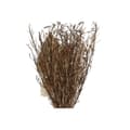 Miniatyrbilde 5 av 5: Dekorativ Plante Home ESPRIT Krystall Blomster 11 x 11 x 40 cm (3 enheter)