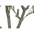 Miniatyrbilde 3 av 4: Tre Home ESPRIT Polyetylen Sement Eucalyptus 80 x 80 x 220 cm
