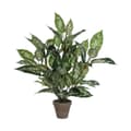 Miniatyrbillede 1 af 3: Dekorativ plante Mica Decorations Dieffenbachia Dieffenbachia Grøn PVC (15,7 x 70 cm)