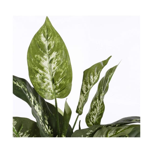 Dekorativ växt Mica Decorations Dieffenbachia Dieffenbachia Grön PVC (15,7 x 70 cm)