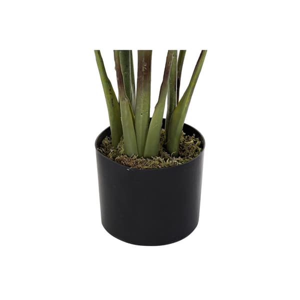 Dekorativ växt DKD Home Decor 40 x 40 x 115 cm Polyetylen Grön Paradisets Fågel Urban