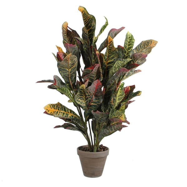 Dekorativ växt Mica Decorations Croton Grön PVC (73 x 40 cm)