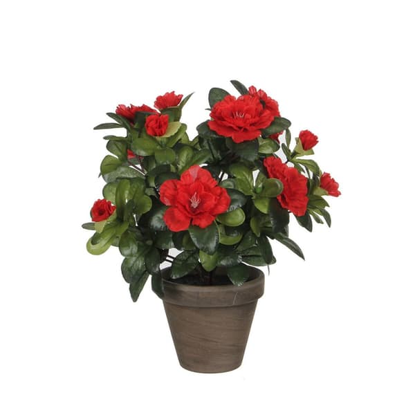 Dekorativ växt Mica Decorations 10,5 x 21,5 x 15 cm Azalea