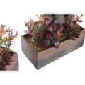 Miniatyrbild 3 av 3: Dekorativ växt DKD Home Decor 19 x 9 x 22 cm Rosa Orange Kaktus Eva-gummi polypropen (2 antal)