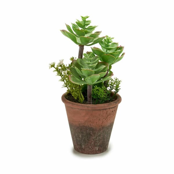 Dekorativ växt Ibergarden XD16-849 Plast Suckulent 16 x 23 x 16 cm (12 antal)