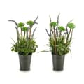 Miniatyrbild 4 av 4: Dekorativ växt Ibergarden XD16-818 Metall Plast Lavendel 13 x 40 x 13 cm (12 antal)