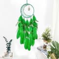 Pikkukuva 1 / 4: INF Crystal Moonstone Dream Catcher Ruohon väri