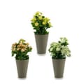 Miniatyrbillede 2 af 2: Dekorativ plante Ibergarden Plastik 11 x 22 x 11 cm