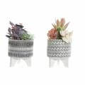 Miniatyrbillede 1 af 2: Dekorativ plante DKD Home Decor Kaktus Harpiks Polyetylen 11 x 11 x 21 cm (2 enheder)