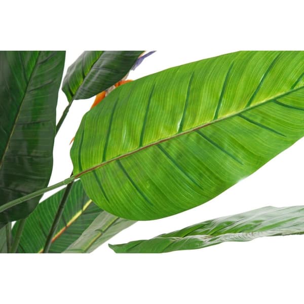 Dekorativ plante DKD Home Decor PVC Plastik 100 x 100 x 145 cm