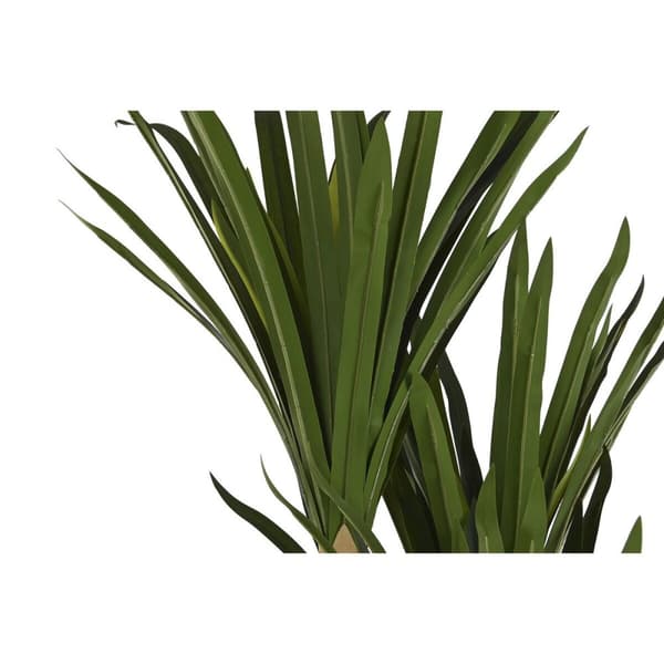 Dekorativ plante DKD Home Decor (80 x 80 x 180 cm)