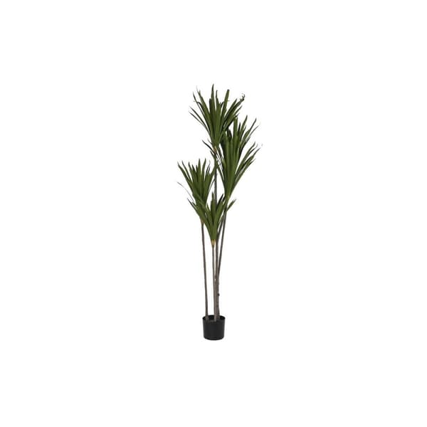 Dekorativ plante DKD Home Decor (80 x 80 x 180 cm)