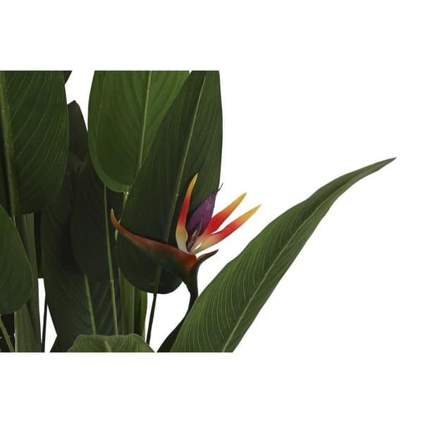 Dekorativ plante DKD Home Decor (90 x 90 x 200 cm)