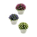 Miniatyrbillede 2 af 3: Dekorativ plante Ibergarden A16120-094 Plastik Cvetlice 14 x 12,5 x 14 cm (12 enheder)
