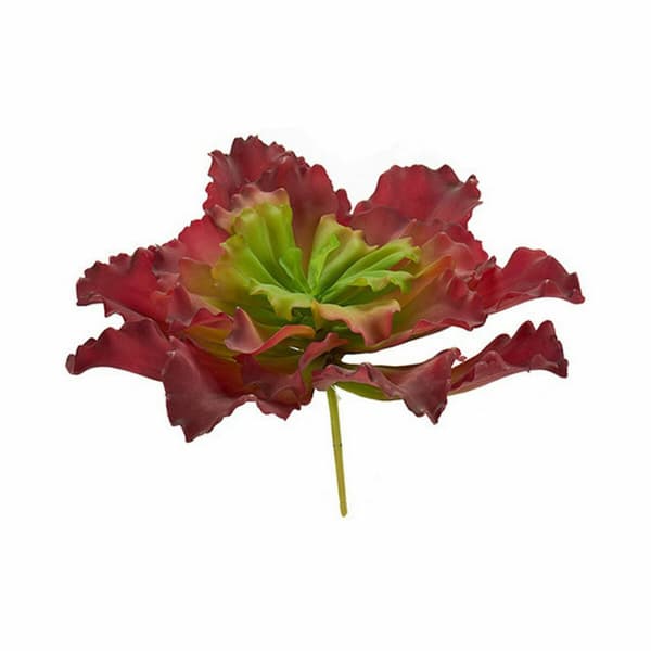 Dekorativ plante Ibergarden YD180208 Plastik Ark Stor 31 x 24 x 31 cm To-farvet (6 enheder)