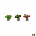 Miniatyrbillede 1 af 3: Dekorativ plante Ibergarden YD180208 Plastik Ark Stor 31 x 24 x 31 cm To-farvet (6 enheder)