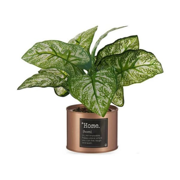Koristekasvi Ibergarden Home Metalli Muovinen Tölkki 26 x 26 x 26 cm Kupari (6 osaa)