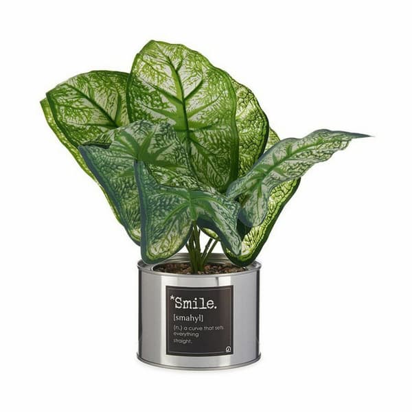 Koristekasvi Ibergarden HY2-90 Metalli Muovinen Kaladium 26 x 26 x 26 cm (6 osaa)