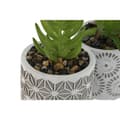 Miniatyrbild 3 av 3: Dekorativ växt Home ESPRIT Polyetylen Cement 6,5 x 6,5 x 11 cm (3 antal)