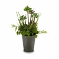 Miniatyrbillede 3 af 4: Dekorativ plante Ibergarden XD16-819 Kork Plastik Blomstereng 20 x 41 x 20 cm (6 enheder)