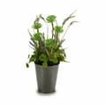 Miniatyrbillede 2 af 4: Dekorativ plante Ibergarden XD16-819 Kork Plastik Blomstereng 20 x 41 x 20 cm (6 enheder)