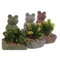 Pikkukuva 2 / 3: Koristekasvi Home ESPRIT Polyetyleeni Sementti Sammakko 9 x 9 x 13 cm (3 osaa)