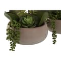 Miniatyrbillede 4 af 4: Dekorativ plante Home ESPRIT Polyetylen Papmaché 40 X 35 X 52 cm (2 enheder)