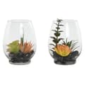 Miniatyrbilde 1 av 3: Dekorativ Plante Home ESPRIT PVC Krystall 10 x 10 x 15 cm (2 enheter)