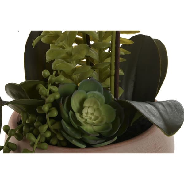 Dekorativ växt Home ESPRIT Polyetylen Pappersmassa 40 X 35 X 52 cm (2 antal)