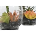 Miniatyrbillede 2 af 3: Dekorativ plante Home ESPRIT PVC Krystal 10 x 10 x 15 cm (2 enheder)