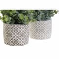 Miniatyrbilde 3 av 3: Dekorativ Plante DKD Home Decor Vase Grønn Harpiks PE (10,5 x 10,5 x 24 cm) (2 enheter)
