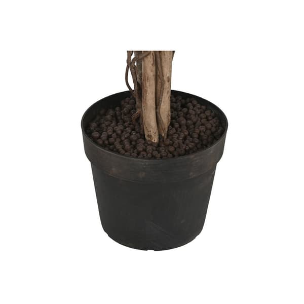 Träd Home ESPRIT Polyetylen Fikon 100 x 100 x 210 cm