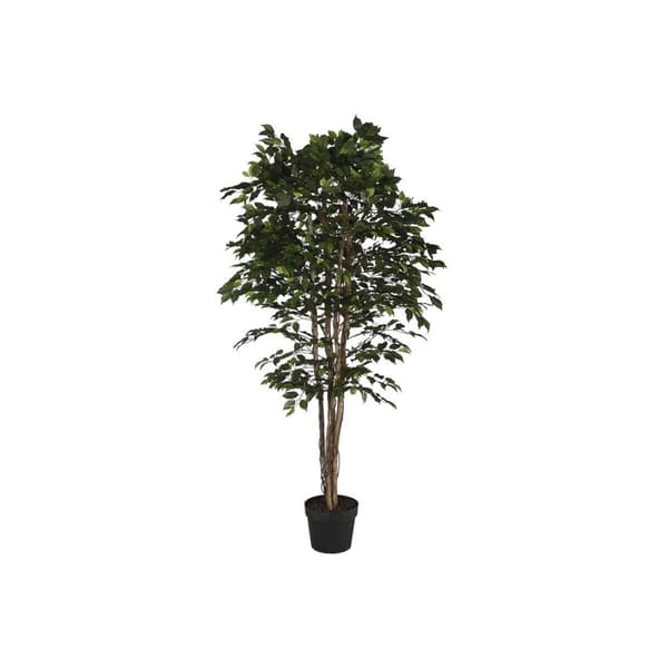 Träd Home ESPRIT Polyetylen Fikon 100 x 100 x 210 cm