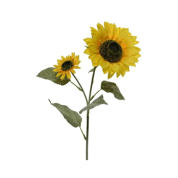 Buketter Everlands Solros 10 x 15 x 72 cm