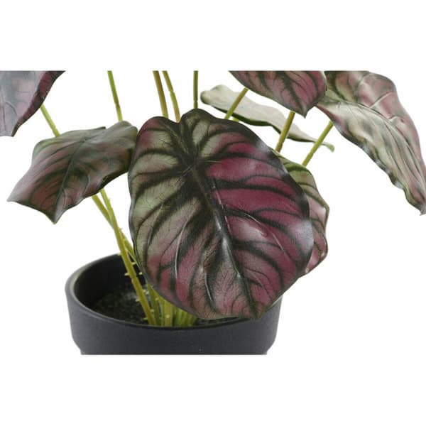 Dekorativ växt DKD Home Decor Rosa Grön PE (10 x 10 x 27 cm)