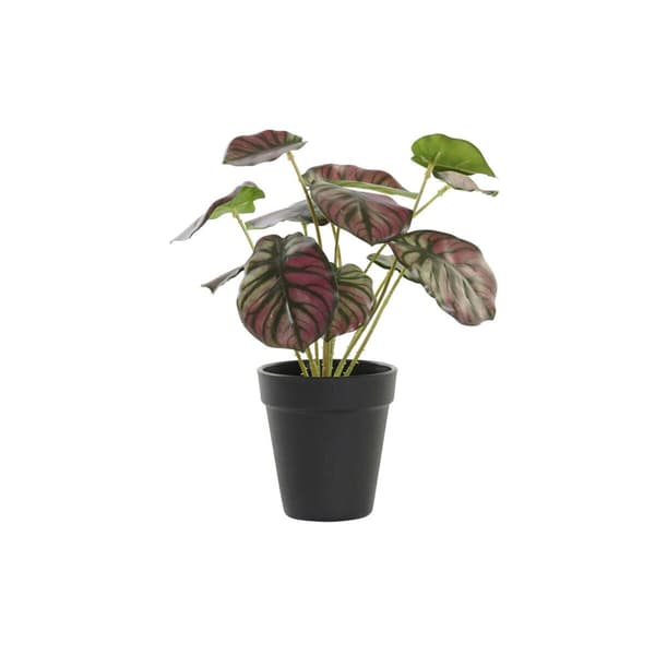 Dekorativ växt DKD Home Decor Rosa Grön PE (10 x 10 x 27 cm)