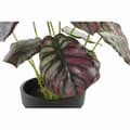 Miniatyrbilde 2 av 3: Dekorativ Plante DKD Home Decor Rosa Grønn PE (10 x 10 x 27 cm)
