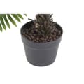 Miniatyrbilde 3 av 3: Dekorativ Plante Home ESPRIT PVC Bregne 80 x 80 x 60 cm