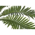 Miniatyrbilde 2 av 3: Dekorativ Plante Home ESPRIT PVC Bregne 80 x 80 x 60 cm